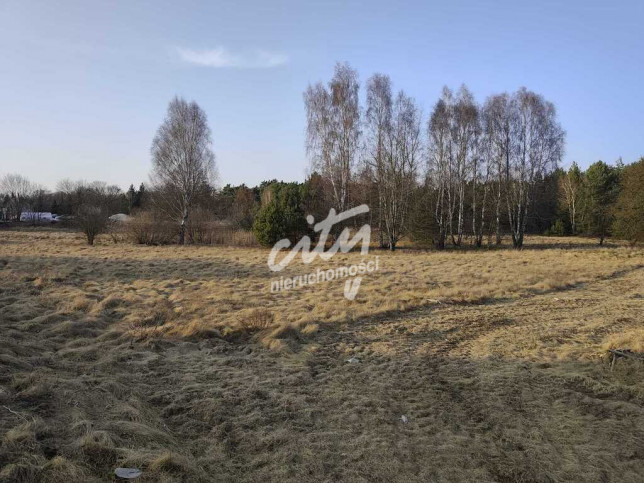 Działka Sprzedaż Cybinka 3
